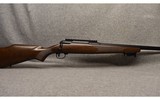 Savage Arms ~ Model 110 Varmint ~ .243 Winchester - 1 of 12