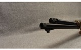 Henry Repeating Arms ~ H024 4570 ~ .45-70 government - 13 of 13