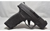 Springfield Armory ~ Hellcat ~ 9mm Luger - 1 of 3
