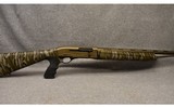 Tristar ~ NWTF Raptor ~ 20 Gauge