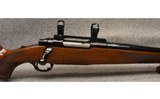 RUGER ~ M77 ~ .22-250 REMINGTON - 3 of 12