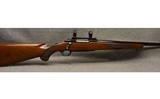 RUGER ~ M77 ~ .22-250 REMINGTON