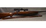 RUGER ~ M77 ~ .280 REMINGTON