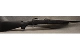 SAVAGE ARMS ~ MODEL 11 ~ .223 REMINGTON - 1 of 9
