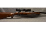 RUGER ~ M77 ~ .458 WINCHESTER MAGNUM - 1 of 12