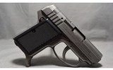 AMT ~ Back Up ~ .380 ACP/9mm Kurz - 1 of 2