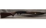 REMINGTON ~ NYLON 66 ~ .22 LONG RIFLE - 1 of 8