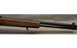 CHIAPPA ~ DOUBLE BADGER ~ .22 MAG/.410 GAUGE - 4 of 8