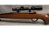 RUGER ~ M77 ~ .243 WINCHESTER - 6 of 12