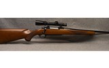 RUGER ~ M77 ~ .243 WINCHESTER