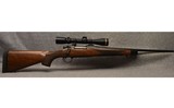 REMINGTON ~ SEVEN ~ 7MM-08 REMINGTON - 1 of 12