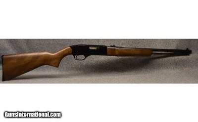 Winchester ~ Model 190 ~ .22 Long Rifle