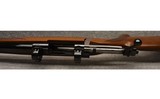 Ruger ~ M77 ~ 6mm Remington - 12 of 12