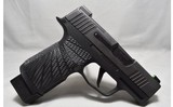 Sig Sauer ~ P365 X ~ 9mm Luger