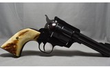 Ruger ~ New Model Blackhawk ~ .45 Caliber