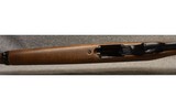 Ruger ~ Ninety-Six ~ .22 WMR - 8 of 8