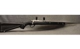 Ruger ~ All-Weather 77/22 ~ .22 Long Rifle