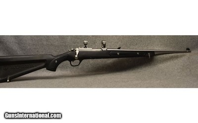 Ruger ~ All-Weather 77/22 ~ .22 Long Rifle