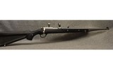 Ruger ~ All-Weather 77/22 ~ .22 Long Rifle