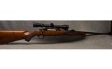 Ruger ~ M77 ~ .257 Roberts