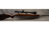 Winchester ~ .22-250 Remington - 1 of 10