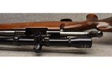 Winchester ~ .22-250 Remington - 10 of 10
