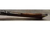 Winchester ~ Model 1886 ~ .45-90 WCF - 11 of 12