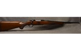 Ruger ~ M77 ~ .243 Winchester