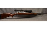 Savage ~ Custom ~ .204 Ruger