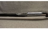Remington ~ Nylon 66 ~ .22 Long Rifle - 9 of 9
