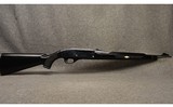 Remington ~ Nylon 66 ~ .22 Long Rifle - 1 of 9