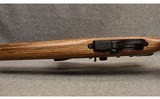 Remington ~ Model 597 Magnum ~ .17 HMR - 8 of 8