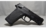 Smith & Wesson ~ M&P9 Shield EZ ~ 9mm Luger