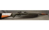 Franchi ~ Momentum ~ .308 Winchester - 1 of 9