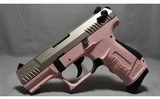 Walther ~ P22 ~ .22 Long Rifle - 2 of 3