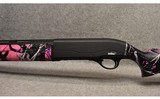 Tristar ~ Raptor ~ 20 Gauge - 6 of 9
