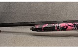 Tristar ~ Raptor ~ 20 Gauge - 7 of 9