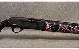 Tristar ~ Raptor ~ 20 Gauge - 3 of 9