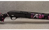 Tristar ~ Raptor ~ 20 Gauge - 3 of 9