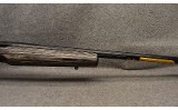 Browning ~ X-Bolt ~ .243 Winchester - 4 of 9