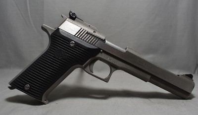 AMT ~ Automag II ~ .22 Magnum