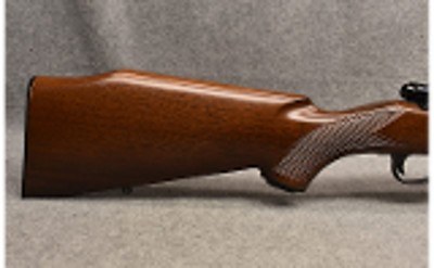 Whitworth ~ Mark X ~ 7.62x39mm