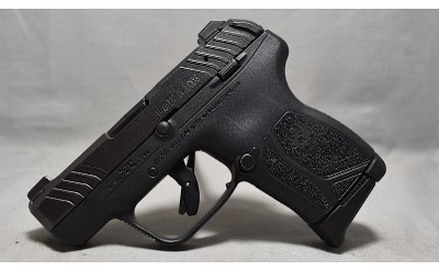 Ruger ~ LCP Max ~ .380 Auto