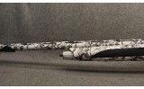 Tristar ~ Viper G2 Pro Snow ~ 12 Gauge - 6 of 8