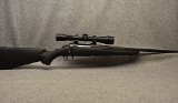 Ruger ~ American ~ .243 Winchester - 1 of 10