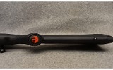 Ruger ~ American ~ .243 Winchester - 9 of 10