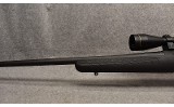 Ruger ~ American ~ .243 Winchester - 7 of 10