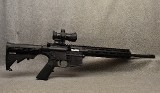 Smith & Wesson ~ M&P 15-22 ~ .22 Long Rifle