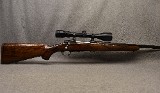Ruger ~ M77 ~ .25-06 Remington