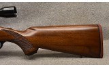 Ruger ~ M77 ~ .243 Winchester - 5 of 11